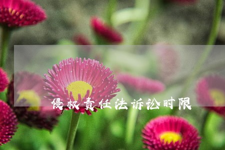 侵权责任法诉讼时限