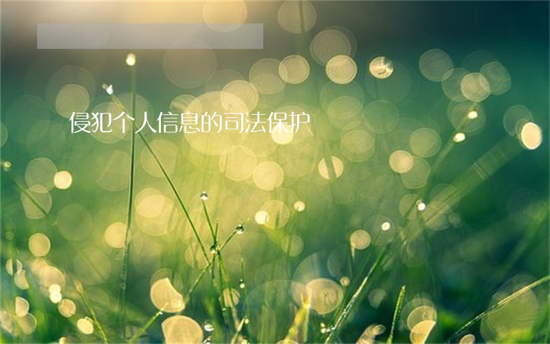 侵犯个人信息的司法保护 侵犯个人信息的司法保护