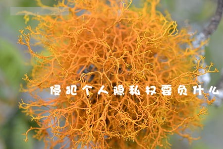 侵犯个人隐私权要负什么法律责任 侵犯个人隐私权要负什么法律责任
