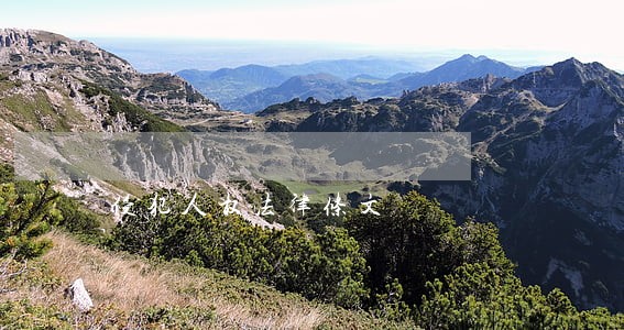 侵犯人权法律条文