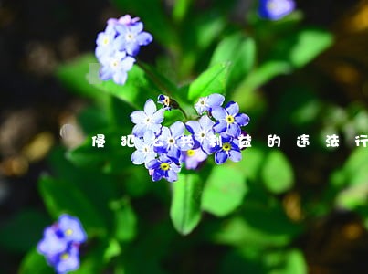 侵犯公共利益的违法行为 侵犯公共利益的违法行为