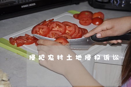 侵犯农村土地侵权诉讼 侵犯农村土地侵权诉讼