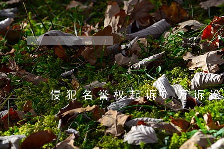 侵犯名誉权起诉5万诉讼费交多少 侵犯名誉权起诉5万诉讼费交多少