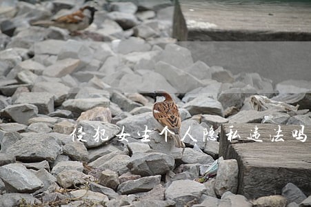 侵犯女生个人隐私违法吗 侵犯女生个人隐私违法吗