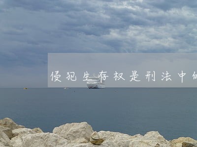 侵犯生存权是刑法中的第几条 侵犯生存权是刑法中的第几条
