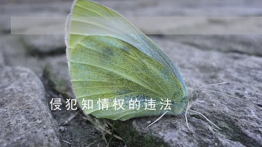 侵犯知情权的违法