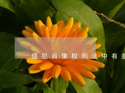 侵犯肖像权刑法中有规定吗 侵犯肖像权刑法中有规定吗