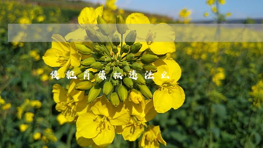侵犯肖像权违法么 侵犯肖像权违法么