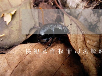 侵犯著作权罪司法解释内容有哪些 侵犯著作权罪司法解释内容有哪些