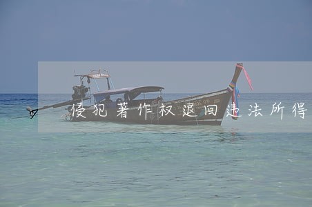 侵犯著作权退回违法所得 侵犯著作权退回违法所得