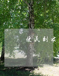 便民到家中 便民到家中