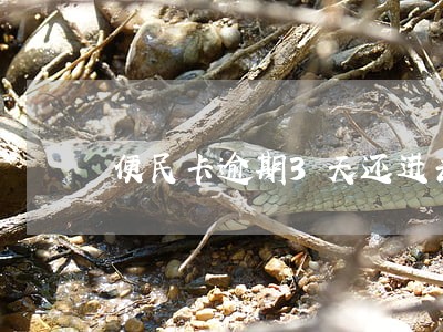 便民卡逾期3天还进去要利息吗 便民卡逾期3天还进去要利息吗