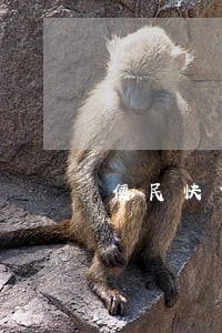 便民快贷逾期2天影响征信吗 便民快贷逾期2天影响征信吗