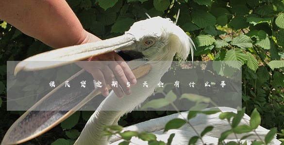 便民贷逾期5天会有什么事