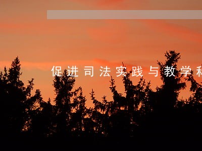 促进司法实践与教学科研紧密结合 促进司法实践与教学科研紧密结合
