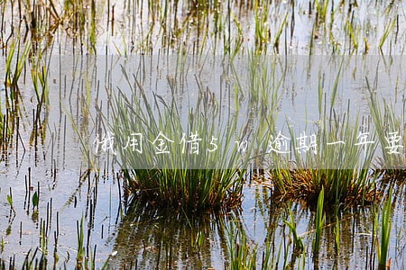 俄用金借5w逾期一年要还多少钱 俄用金借5w逾期一年要还多少钱