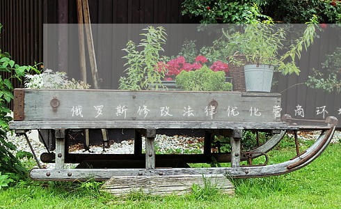 俄罗斯修改法律优化营商环境 俄罗斯修改法律优化营商环境