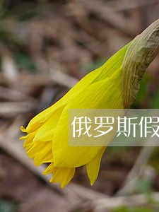 俄罗斯假药的历年法规 俄罗斯假药的历年法规