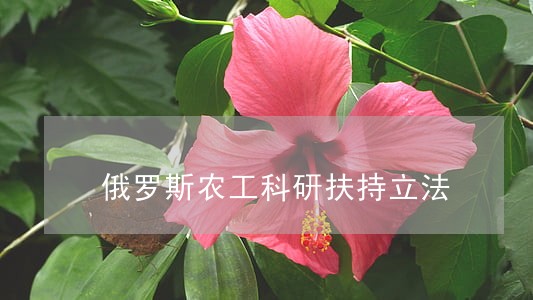 俄罗斯农工科研扶持立法 俄罗斯农工科研扶持立法