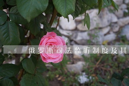 俄罗斯司法监听制度及其启示 俄罗斯司法监听制度及其启示