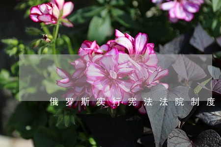 俄罗斯实行宪法法院制度的国家 俄罗斯实行宪法法院制度的国家