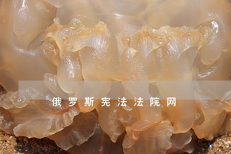 俄罗斯宪法法院网 俄罗斯宪法法院网
