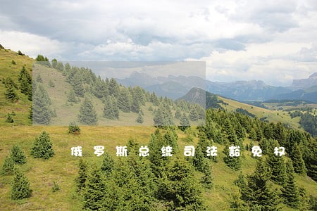 俄罗斯总统司法豁免权 俄罗斯总统司法豁免权