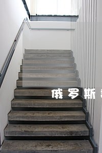 俄罗斯数字法律诉讼模型的有效性