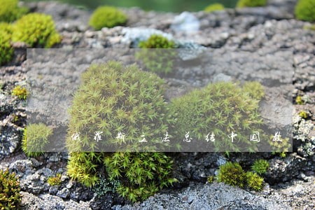 俄罗斯立法总结中国教训 俄罗斯立法总结中国教训