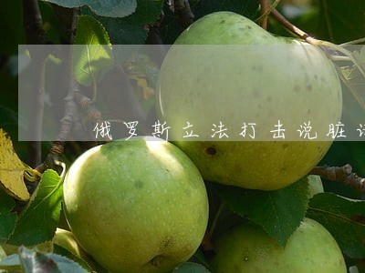 俄罗斯立法打击说脏话 俄罗斯立法打击说脏话