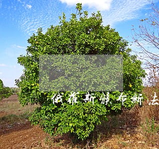 俄罗斯颁布新法律 俄罗斯颁布新法律