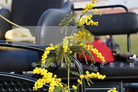 俏租机逾期5天还能分期还吗 俏租机逾期5天还能分期还吗