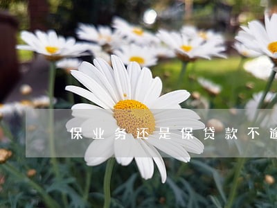 保业务还是保贷款不逾期 保业务还是保贷款不逾期