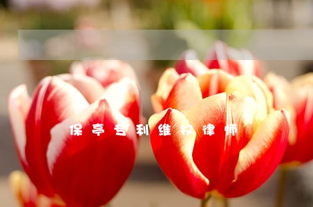 保亭专利维权律师 保亭专利维权律师