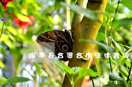 保亭县合资合作法律咨询热线 保亭县合资合作法律咨询热线