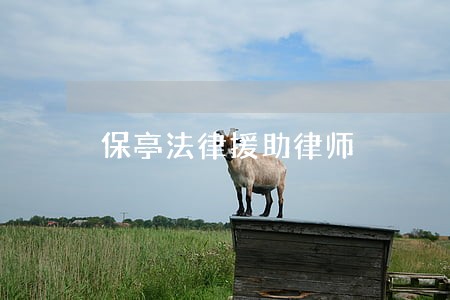 保亭法律援助律师