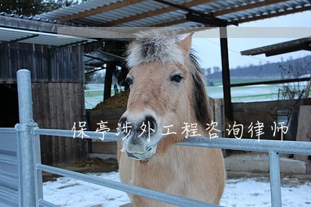 保亭涉外工程咨询律师 保亭涉外工程咨询律师