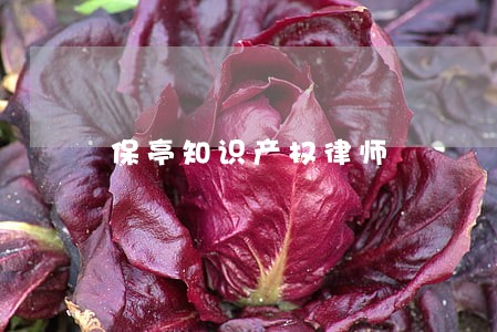 保亭知识产权律师 保亭知识产权律师