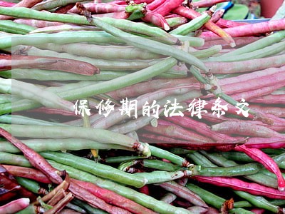 保修期的法律条文