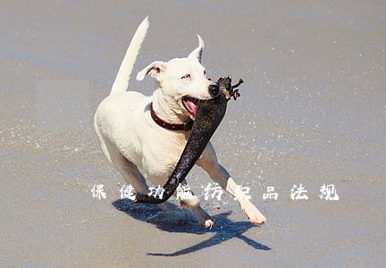 保健功能纺织品法规 保健功能纺织品法规