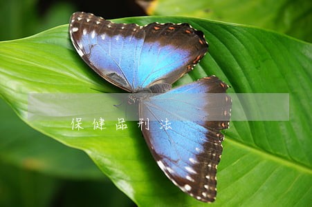 保健品刑法 保健品刑法