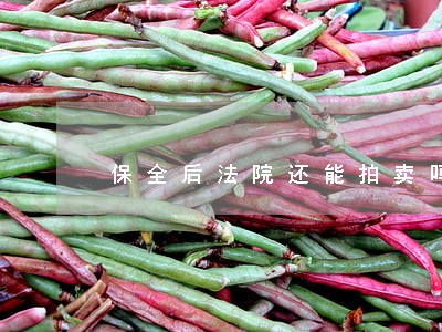 保全后法院还能拍卖吗 保全后法院还能拍卖吗
