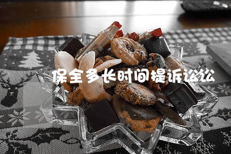 保全多长时间提诉讼讼 保全多长时间提诉讼讼