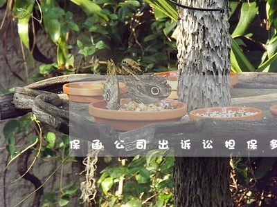 保函公司出诉讼担保多长时间 保函公司出诉讼担保多长时间