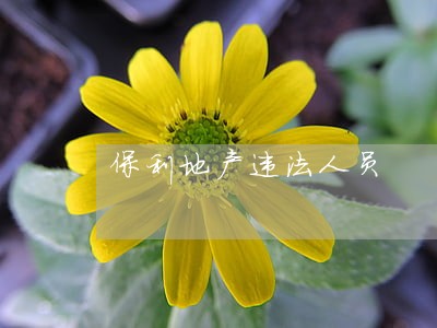 保利地产违法人员 保利地产违法人员