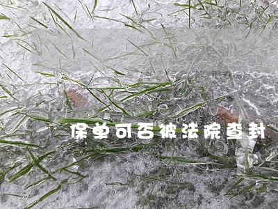 保单可否被法院查封 保单可否被法院查封