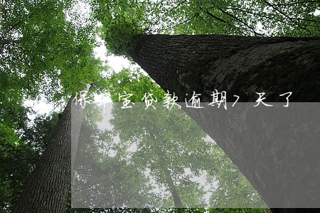 保单宝贷款逾期7天了 保单宝贷款逾期7天了