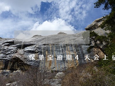 保单宝逾期4天会上征信吗 保单宝逾期4天会上征信吗