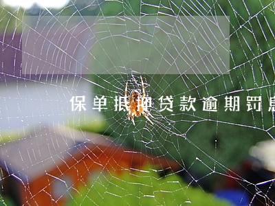 保单抵押贷款逾期罚息合法吗 保单抵押贷款逾期罚息合法吗