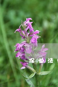 保单法律咨询退费可靠吗 保单法律咨询退费可靠吗